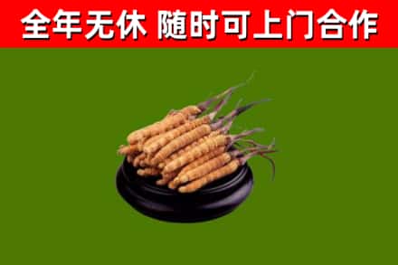黄岛区烟酒回收冬虫夏草.jpg
